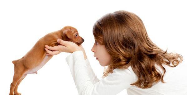 عکس دختر با سگ برای پروفایل
