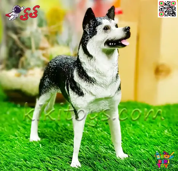 عکس دختر با سگ هاسکی برای پروفایل