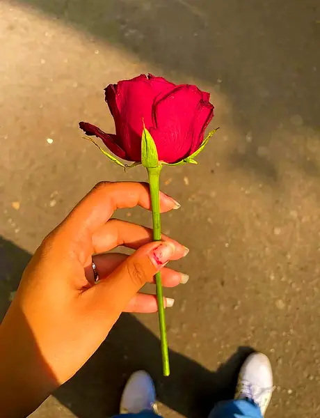 عکس پروفایل دختر دستش گل