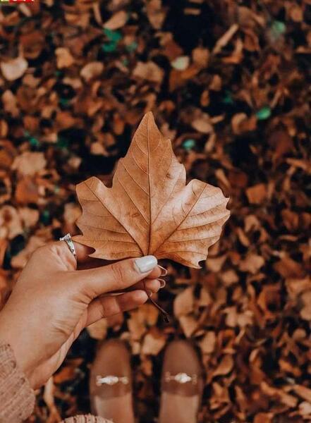 عکس پروفایل دختر پاییزی ام