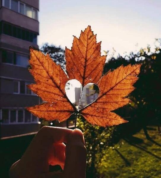 دانلود عکس پروفایل دختر پاییزی