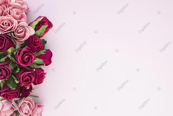 عکس پس زمینه یاسی ساده