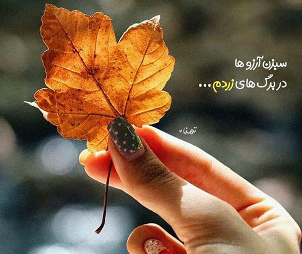 عکسهای جدید زیبا برای پروفایل