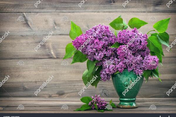 عکس پس زمینه ی یاسی