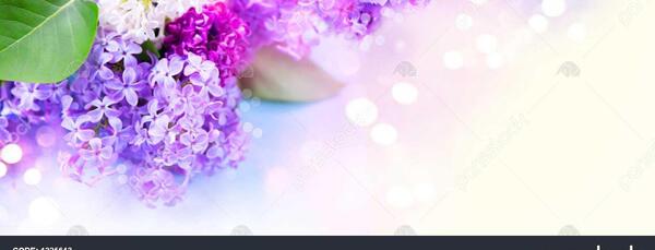 عکس پس زمینه ی یاسی