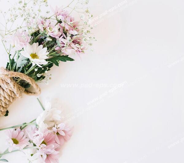 عکس گل با پس زمینه ی سفید