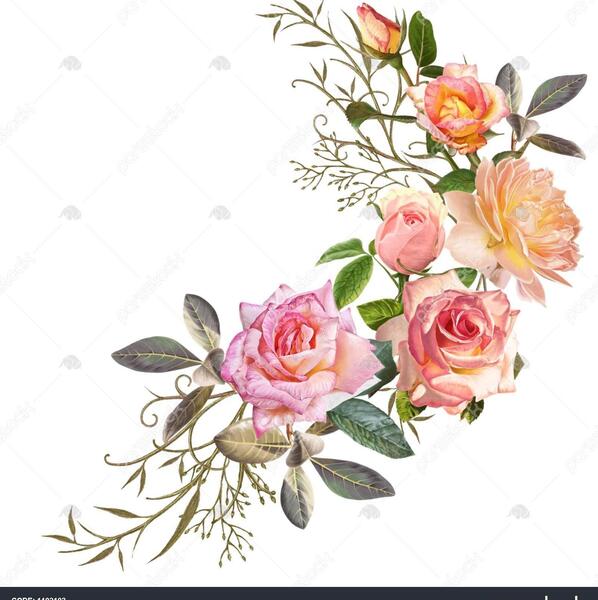 عکس گل با پس زمینه ی سفید