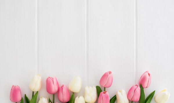 عکس گل با پس زمینه ی سفید