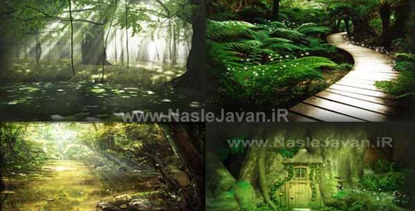 عکس پس زمینه عکاسی هنری