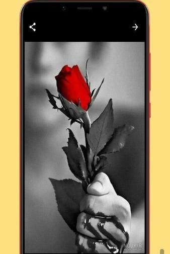 عکس پس زمینه غمناک