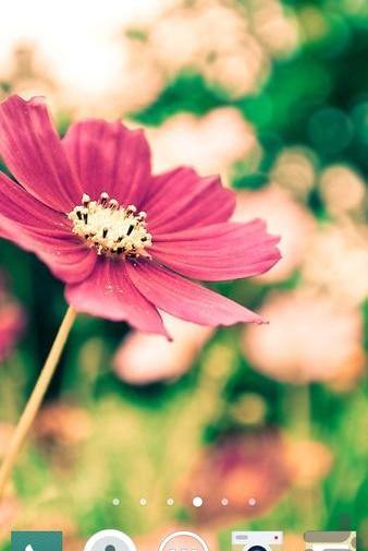 تغییر پس زمینه عکس طبیعی