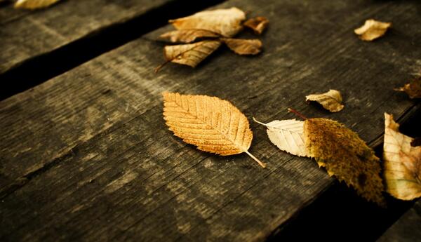 عکس پس زمینه شعری