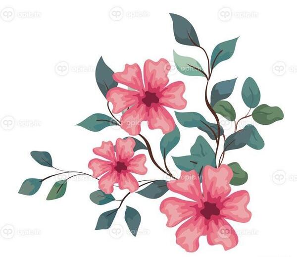 عکس پس زمینه شاخه گل