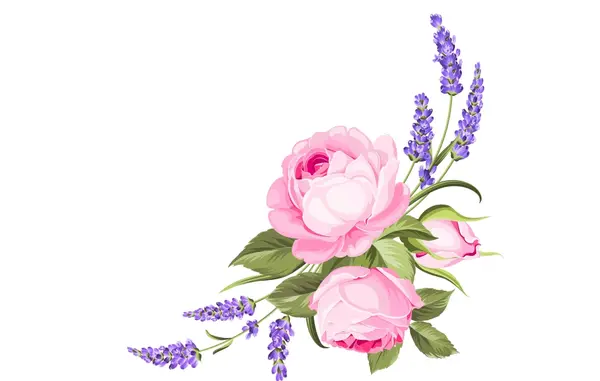 عکس پس زمینه شاخه گل