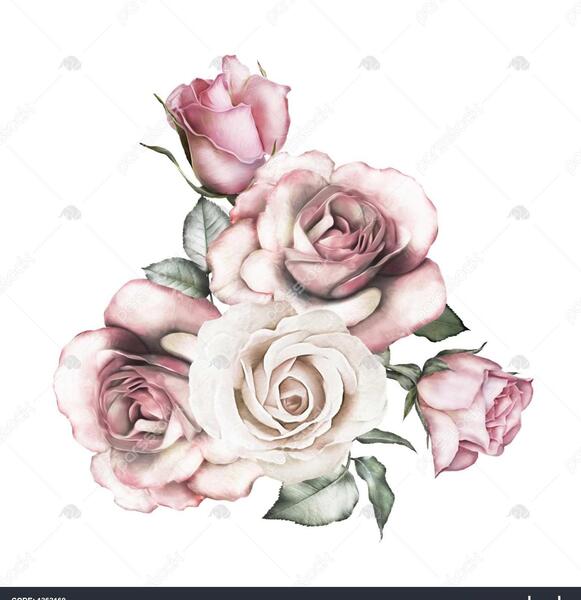 عکس پس زمینه شاخه گل