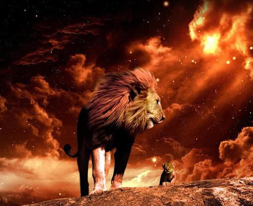 عکس برای پس زمینه شیر