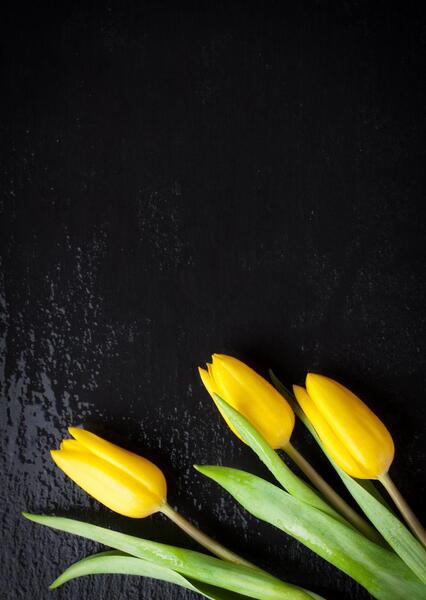 عکس با زمینه زرد