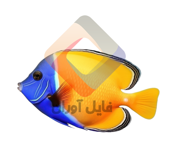 عکس ماهی با پس زمینه زرد