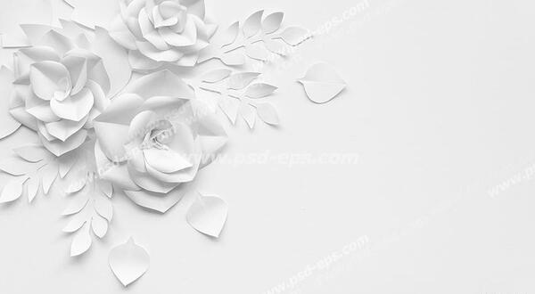 عکس رنگی زمینه سفید