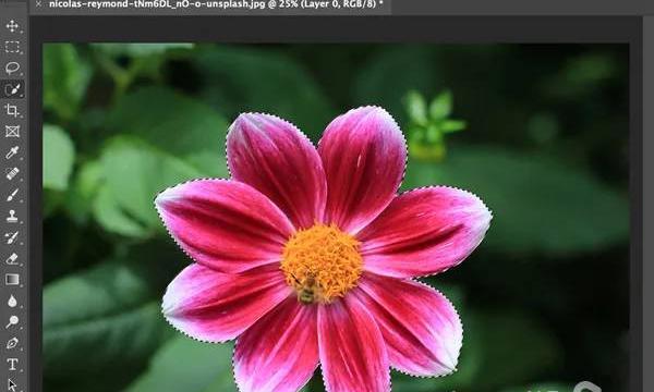 ذخیره عکس بدون زمینه در فتوشاپ
