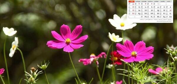عکس پشت زمینه دسکتاپ
