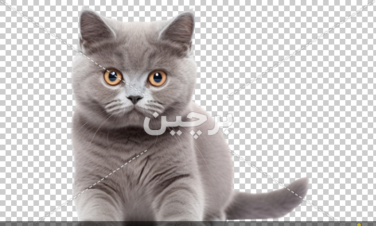 دانلود عکس پس زمینه خاکستری
