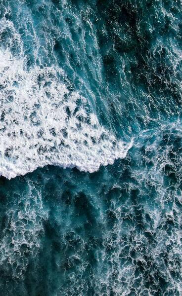 عکس پس زمینه دریا و جنگل