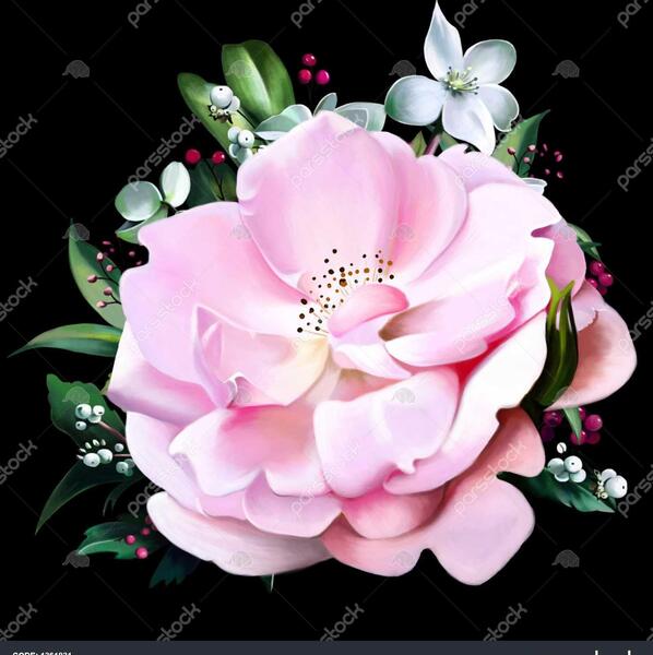 عکس پس زمینه صورتی و مشکی