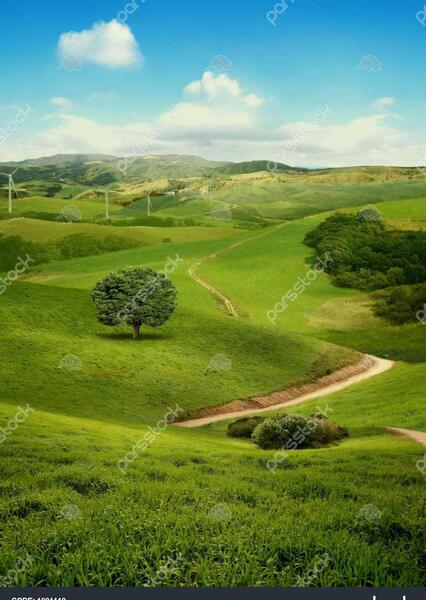 عکس پس زمینه تابستانی