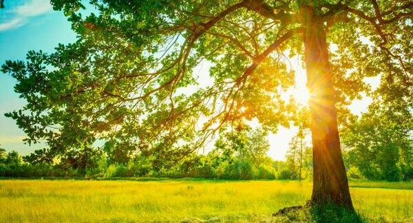 عکس پس زمینه تابستانی
