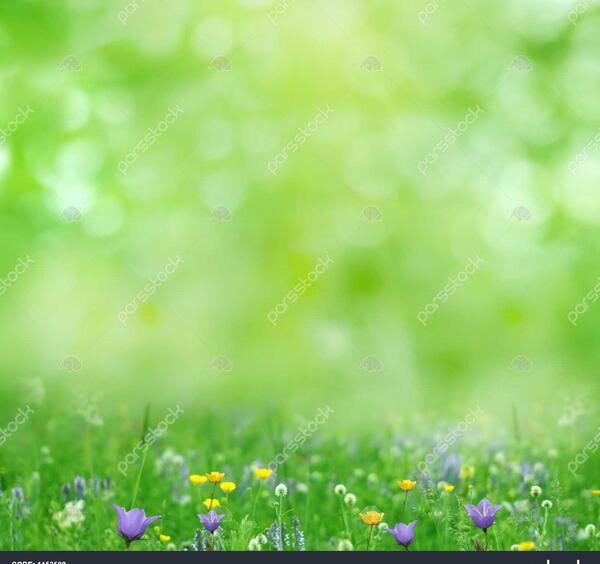 عکس پس زمینه تابستانی