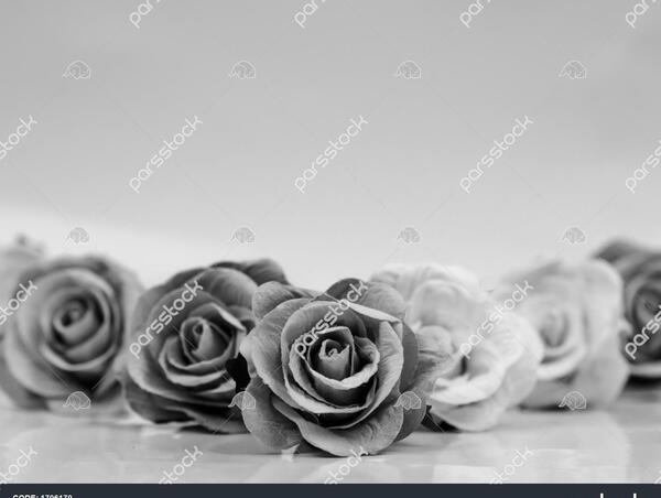 عکس پیش زمینه برای تسلیت