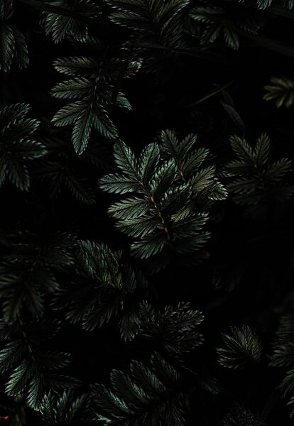 عکس پس زمینه تاریکی