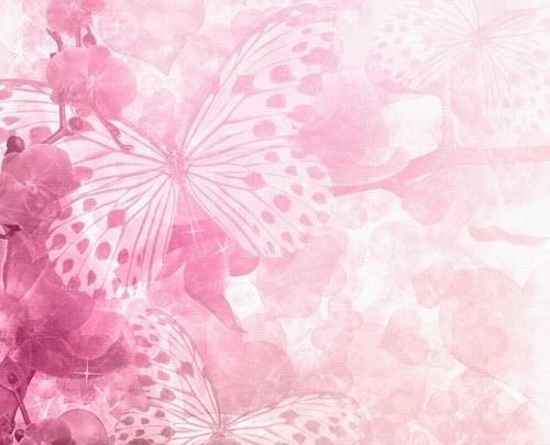 عکس پس زمینه پروانه صورتی