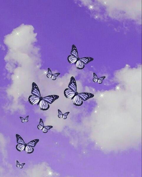عکس پس زمینه پروانه صورتی