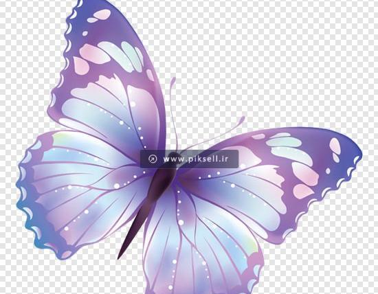 عکس پس زمینه پروانه صورتی