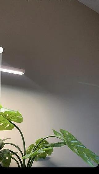 عکس پس زمینه برای استوری اینستا