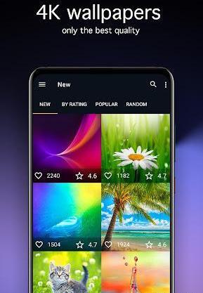 عکس تصویر زمینه گوشی هواوی y6