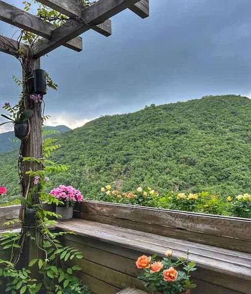 عکس منظره برای پیش زمینه گوشی