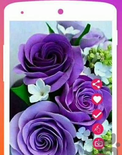 عکس پس زمینه گوشی گلهای زیبا