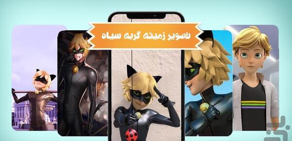 عکس پس زمینه گوشی گربه سیاه