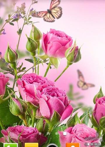 عکس پس زمینه گوشی گل زیبا