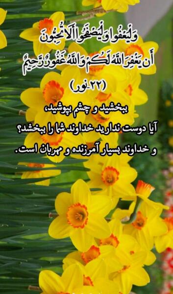 عکس پس زمینه گوشی قرانی