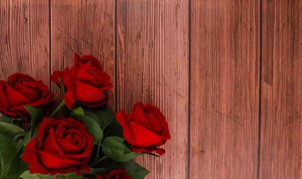 عکس پس زمینه گوشی گل رز قرمز