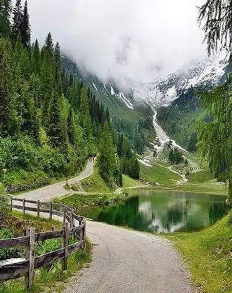 عکس پیش زمینه گوشی طبیعت