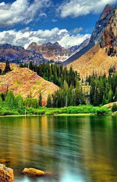 عکس پیش زمینه گوشی طبیعت