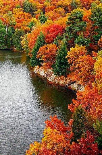 عکس پیش زمینه گوشی طبیعت