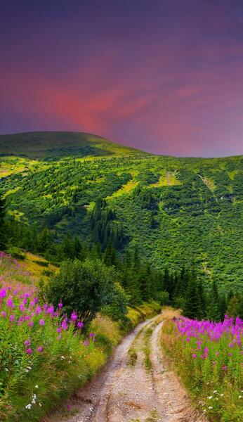 عکس پشت زمینه گوشی طبیعت
