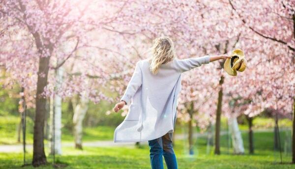 عکس های پس زمینه گوشی طبیعت