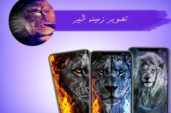 عکس تصویر زمینه شیر برای گوشی